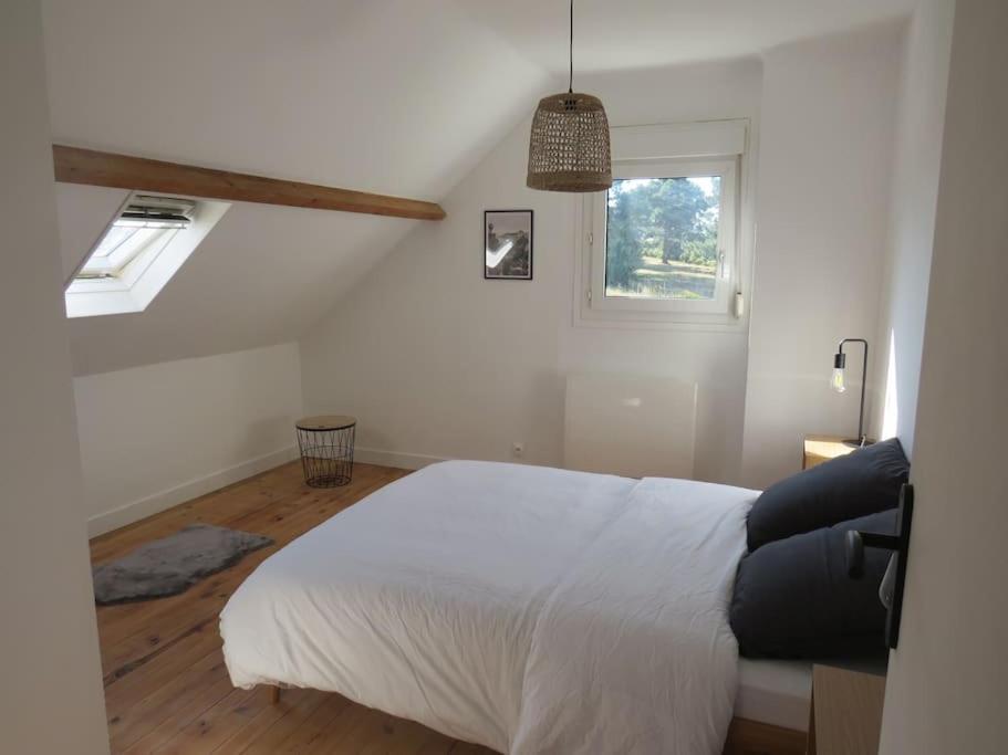 Maison - Plage A Pied Fréhel Kültér fotó